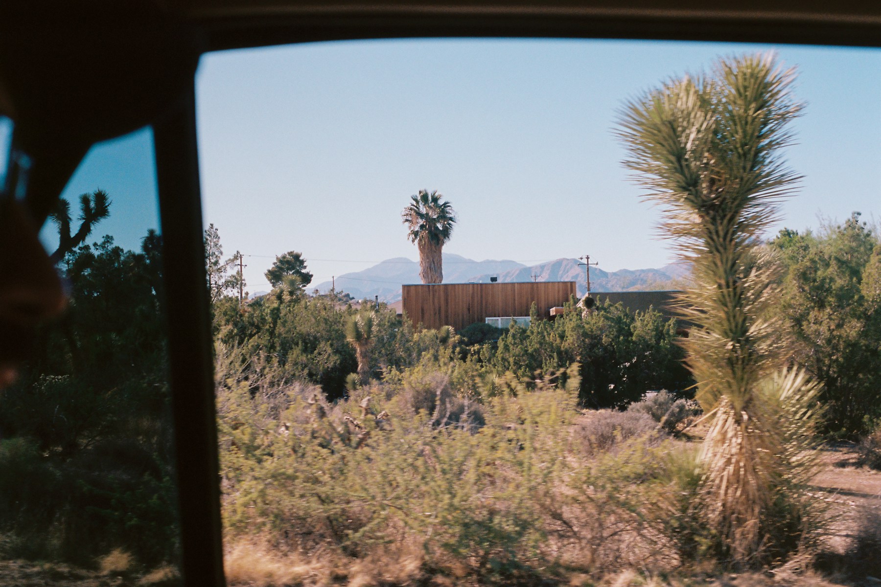 Illustrative modern residence seen through Joshua Tree vegetation