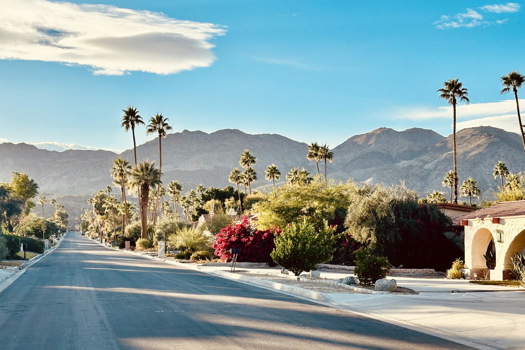 Illustrative Palm Springs residential context